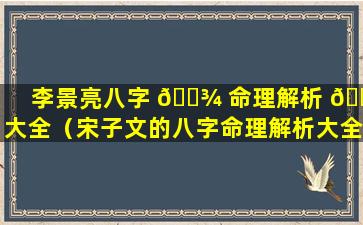 李景亮八字 🌾 命理解析 🕊 大全（宋子文的八字命理解析大全）